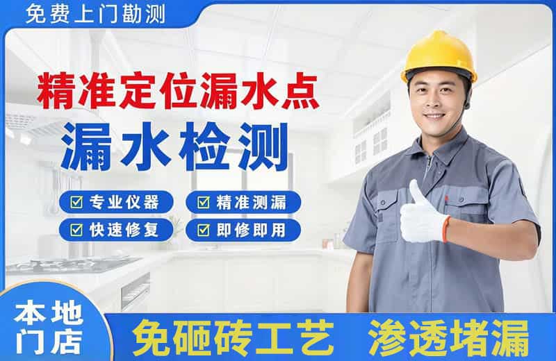 凤凰精准测漏点